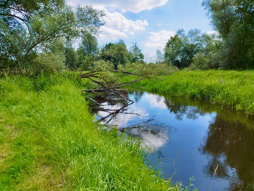 Fluss Rögnitz Grundstücksgrenze 1.jpeg - 