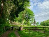 Wohnhaus Westseite 6.jpeg - 