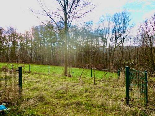 Blick in den vorderen Gartenbeeich : Auslauf.jpeg - 