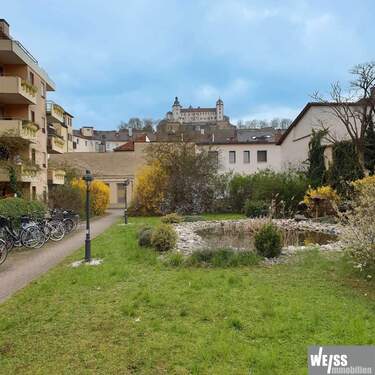 Gemeinschaftsgarten - 