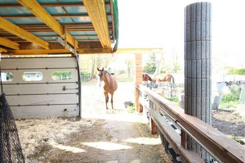 Stallbereich - 