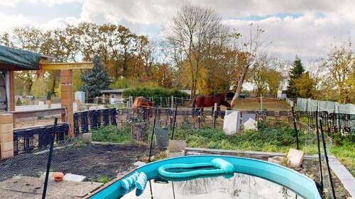 Blick zur Pferdekoppel - 