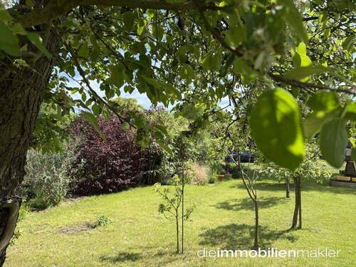 toller Garten - 