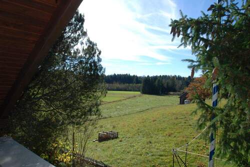 Blick vom Balkon - 