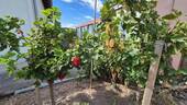 Garten 4 - 