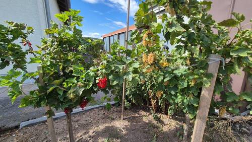 Garten 4 - 