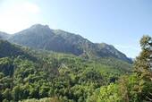 Balkonblick - 