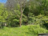 Gartenfläche - 
