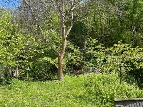 Gartenfläche - 