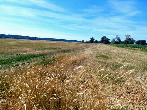 Bild 29 - 