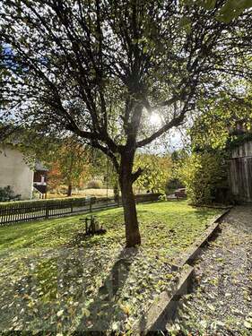 Vorderer Gartenbereich - 