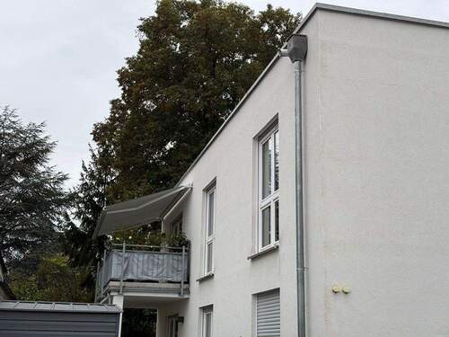 thumbnail_8dd5d39d-cffa-40af-9e61-11a01ce94899.jpg - 