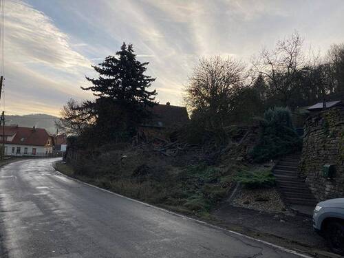 IMG_0880 - Grundstück in Sangerhausen zum Kaufen