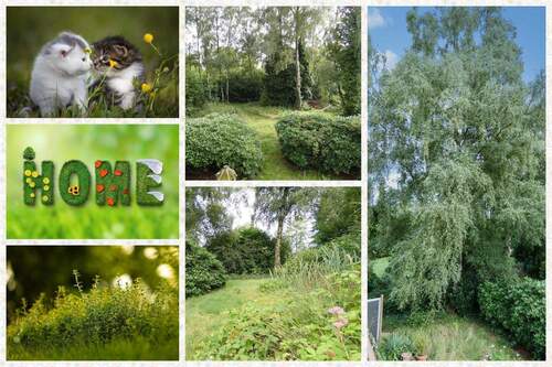 Für Tierfreunde & Naturliebhaber - 6 Zimmer Einfamilienhaus zum Kaufen in Welle