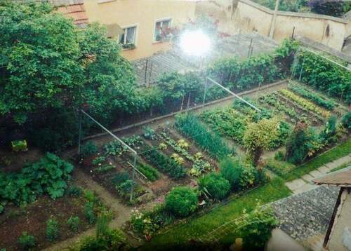 Garten vor einigen Jahren - 