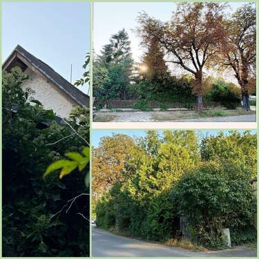 Eigentümer beräumt das Grundstück - Grundstück in Mühlenbecker Land zum Kaufen