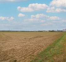 Investitionschance: Großes Bauerwartungsland in Kandel mit ca. 27.743 m² Fläche