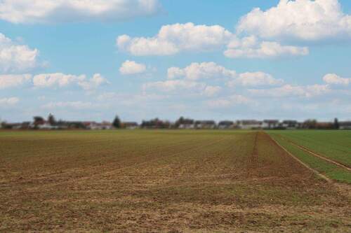 Ansicht Grundstück - Grundstück zum Kaufen in Kandel