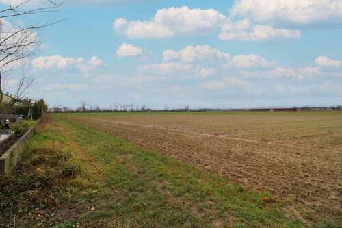 Ansicht Grundstück - Grundstück in Kandel
