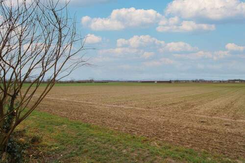 Ansicht Grundstück - Grundstück in Kandel zum Kaufen