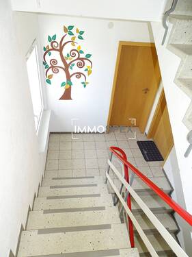 Zweifamilienhaus in Rheinfelden6.jpg - 