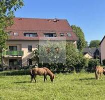 Zwei Mehrfamilienhäuser in bester Lage und Zustand - Röhrsdorf
