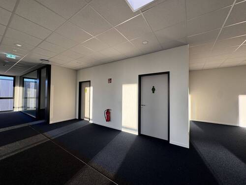 Büro - 