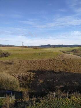 Nur schauen oder auch kaufen ? - 