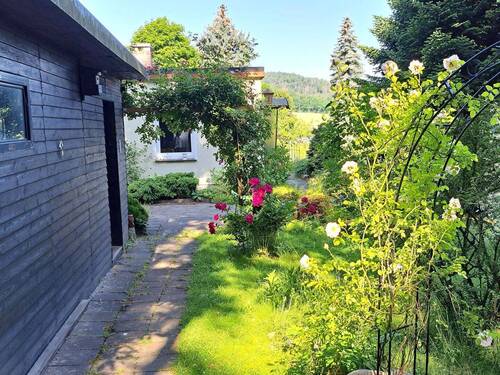 Blick in den Garten - 