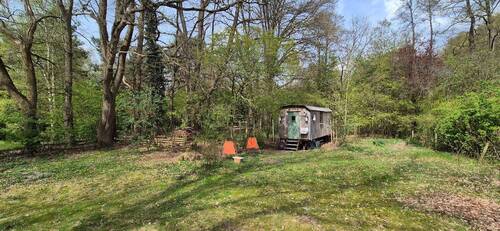 Garten - 