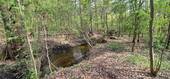 Sitzecke am Bach - 