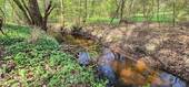 Bachlauf - 
