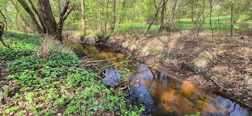 Bachlauf - 