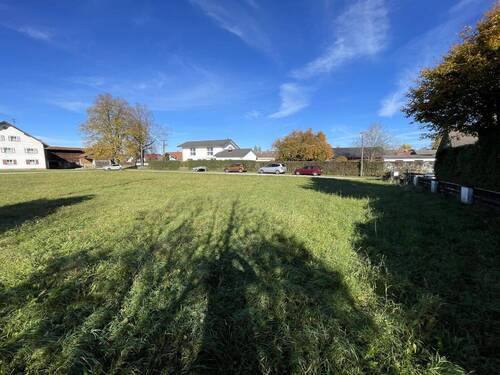Blick Richtung Nordwesten - Grundstück in Kinsau zum Kaufen