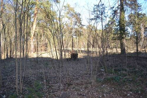 Ansicht 1 - Baugrund für MFH oder EFH - 375.000,00 EUR Kaufpreis, ca.  0,00 m²