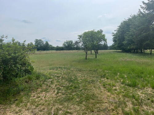 Bild 5 - 