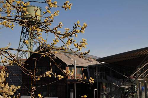 Ansicht Jahrhunderthalle - 