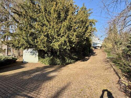 Außenebereich Auffahrt - 