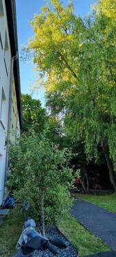 Bild 1 - 4 Zimmer Wohung in Duisdorf Finkenhof