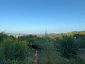 Abendstimmung im Garten - 