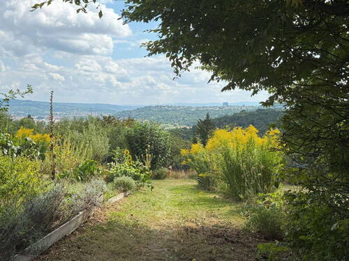 Blick ins Neckartal - 