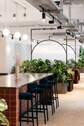Lounge - 