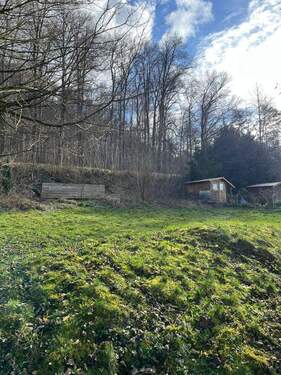 Garten am Waldrand - 