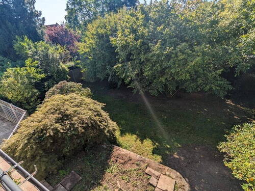 Blick von der Terasse - 