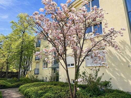 Außenansicht - Solide 2-Raumwohnung mit Entwicklungspotential im aufstrebenden Stadtteil Pieschen!
