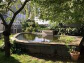 Teich - 