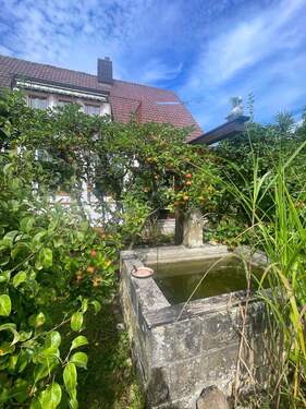 FH559_Ansicht - Mehrfamilienhaus, Wohnhaus mit 170,70 m² in Bayreuth zum Kaufen