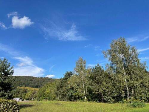 Herzlich Willkommen! - Heute Wildwuchs, morgen Gemüsegarten, übermorgen ... Bauland?