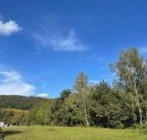 Heute Wildwuchs, morgen Gemüsegarten, übermorgen ... Bauland? - Dresden Hosterwitz/Pillnitz