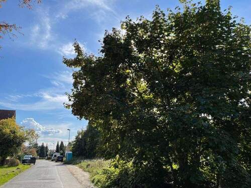 Anliegerstraße von Nord - Grundstück zum Kaufen in Dresden